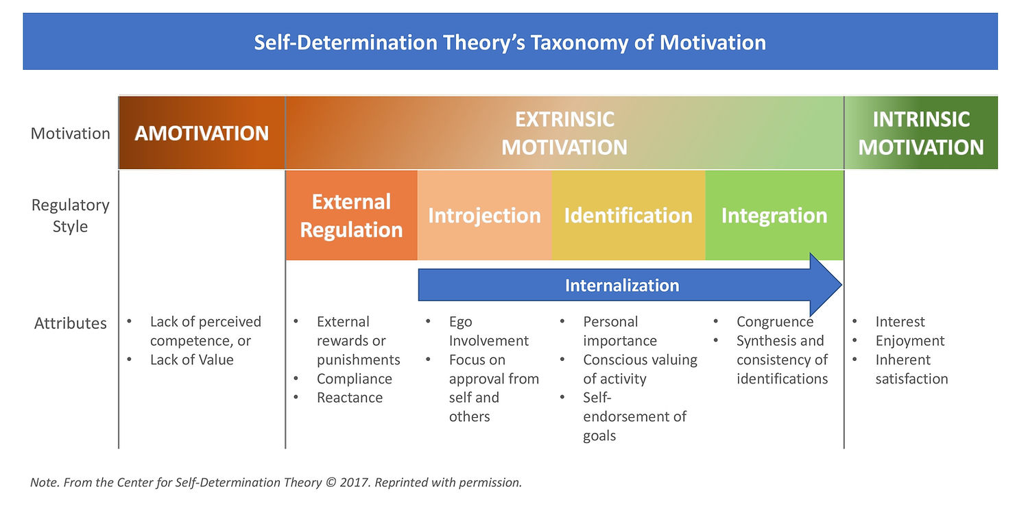 Taxonomy of motivation