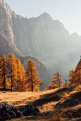 How to Live with Authenticity: 10 Tools You Can Apply Right Now