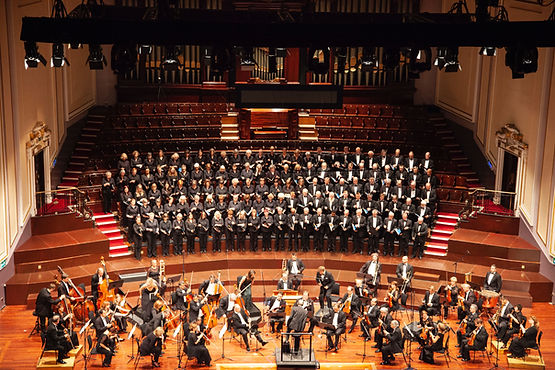 A symphony orchestra