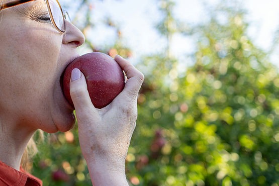 A person biting into an apple